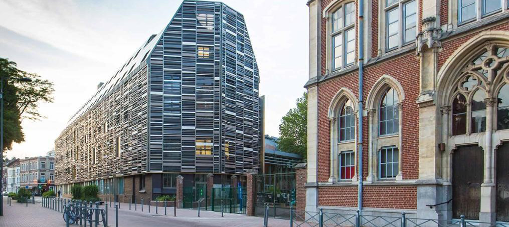 rizomm2 rizomm transition énergétique et sociétale